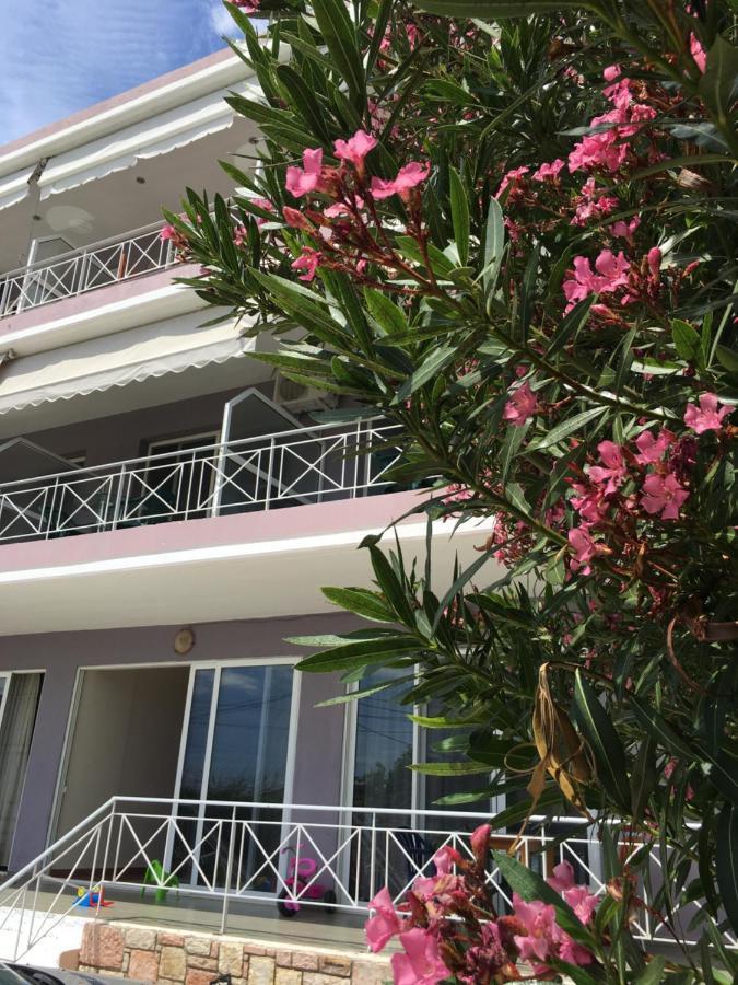 Irini Boutique Rooms!!! Himarë Dış mekan fotoğraf